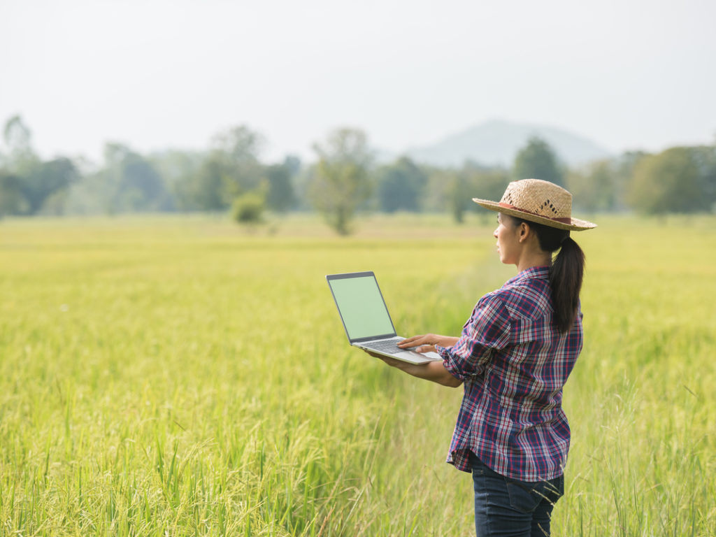 Veja como a tecnologia aumenta produção no campo - Quero Mais Tecnologia