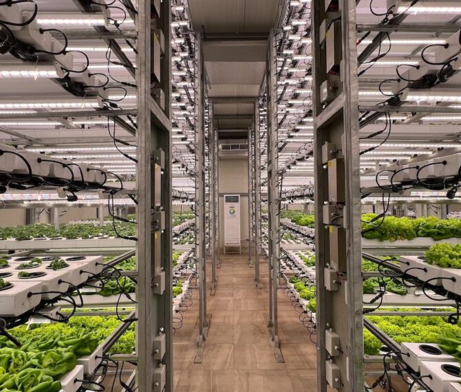 Como o uso da tecnologia de alimentos interfere na saúde e bem-estar dos consumidores - Quero Mais Tecnologia