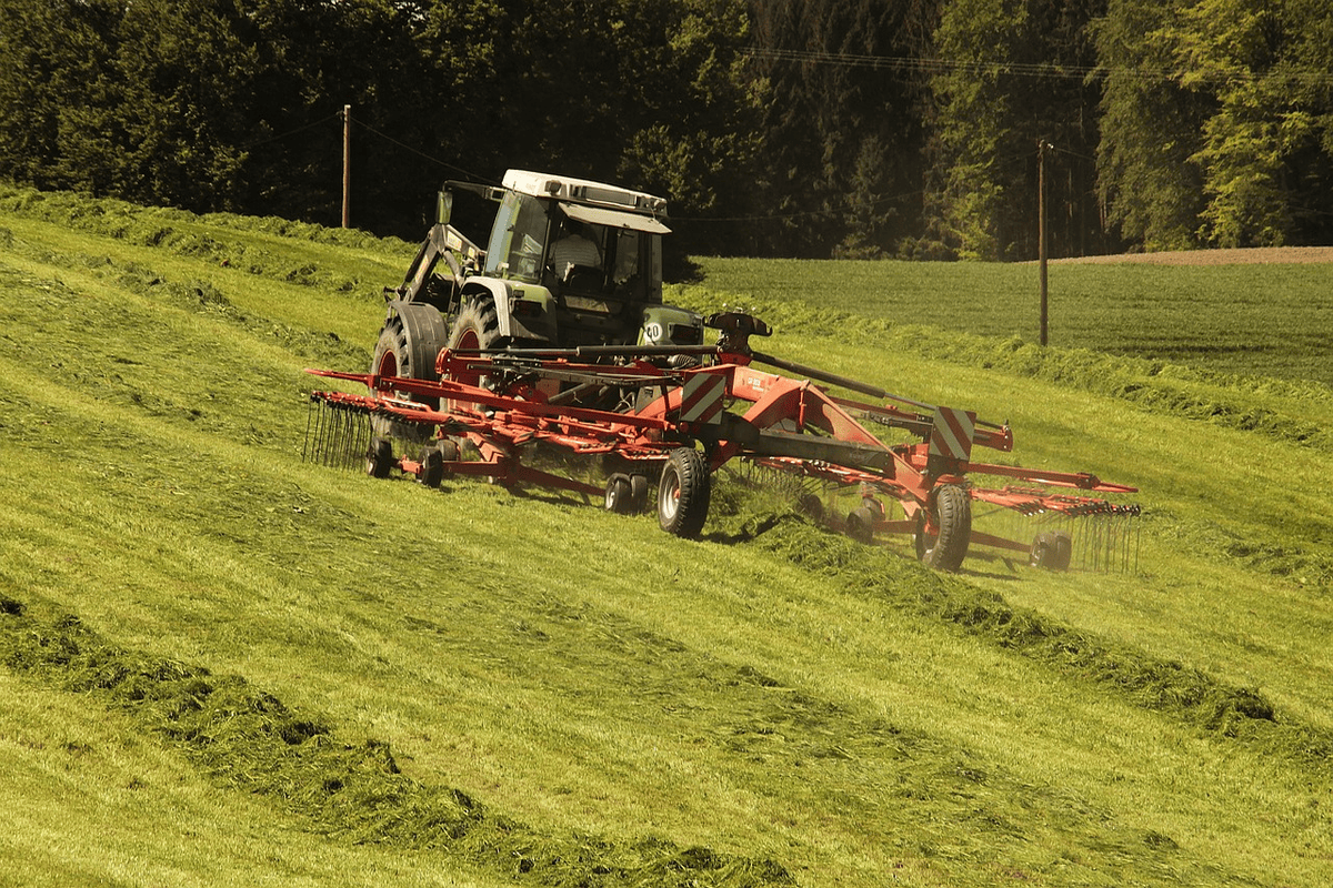 Trator pequeno trabalhando em terreno com material análogo à palhas secas, mas verdes, que cobre o solo, enquanto puxa ferramenta presa na máquina com engate