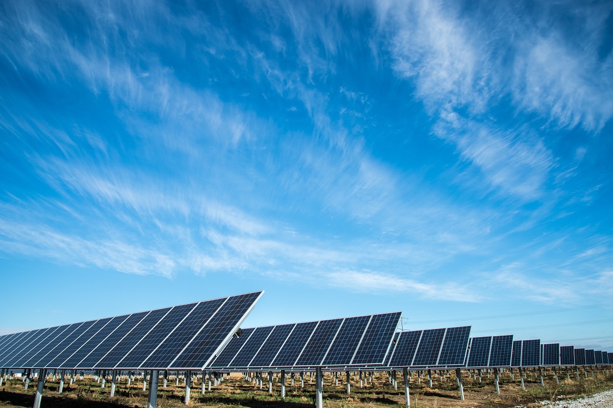 inúmeras placas solares dispostas em um terreno amplo