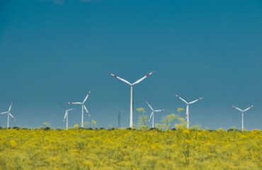 Data centers verdes: AWS investe em energia eólica no Brasil e visa atingir 100% até 2025 - Quero Mais Tecnologia