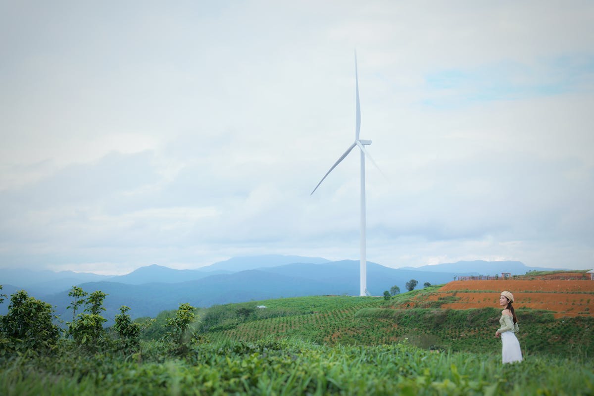 Data centers verdes: AWS investe em energia eólica no Brasil e visa atingir 100% até 2025