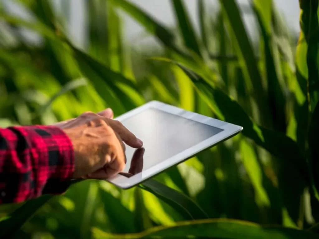 Como a agricultura de precisão pode ajudar a salvar o meio ambiente? - Quero Mais Tecnologia