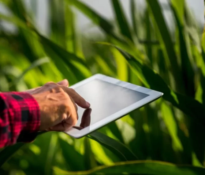 Como a agricultura de precisão pode ajudar a salvar o meio ambiente? - Quero Mais Tecnologia